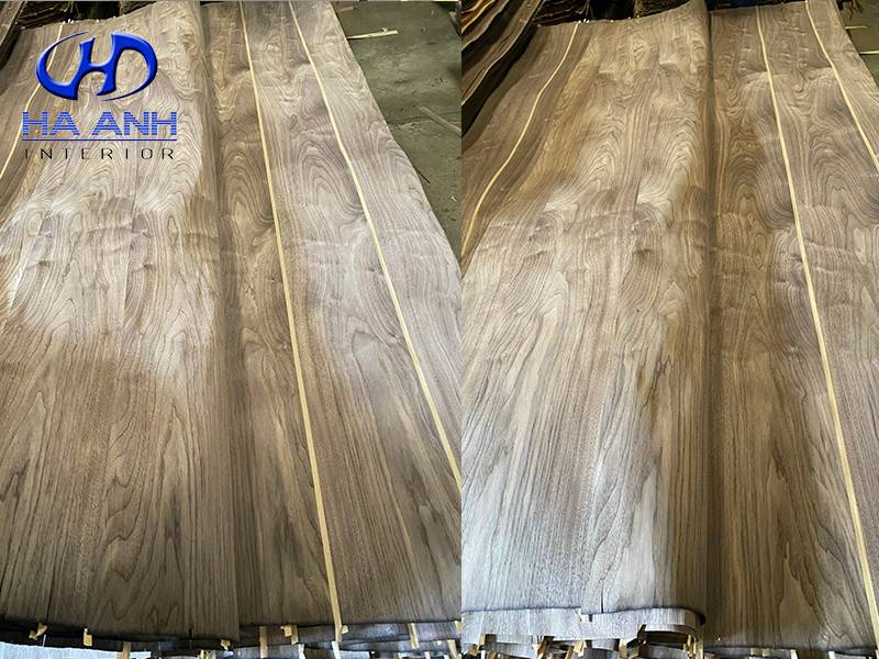 Gỗ veneer óc chó là gì? tổng quan về gỗ veneer óc chó