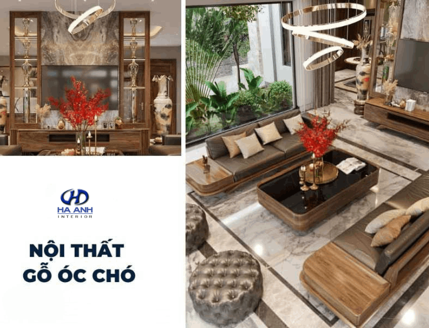 Vì sao nên chọn nội thất gỗ óc chó?