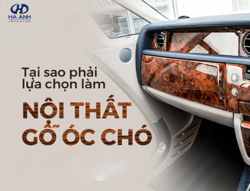 Đặc điểm nổi bật của gỗ óc chó.